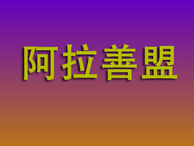 重庆到阿拉善盟物流专线-重庆至阿拉善盟物流公司