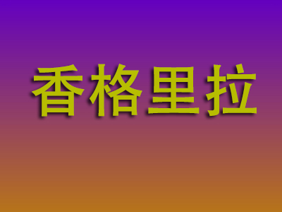 邯郸到香格里拉物流专线-邯郸至香格里拉物流公司